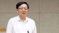 Đàm phán bán 5 triệu tín chỉ carbon rừng trong tháng 6/2026