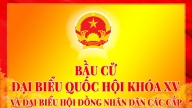 Đường tới Quốc hội của doanh nhân