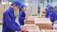 Lãi vẻn vẹn 11 tỷ đồng sau 9 tháng, cổ phiếu TTF cận kề ngày hủy niêm yết?
