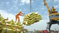 EU áp rào cản xanh, Thủ tướng yêu cầu triển khai kế hoạch hành động