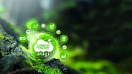 Tài sản số, tín chỉ carbon: Cần được ‘chính danh’ để trở thành TSBĐ ngân hàng