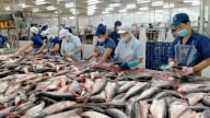 Lợi thế riêng của thủy sản Việt, sẵn sàng ứng phó thuế đối ứng của Mỹ
