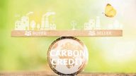 Cuộc chơi tín chỉ carbon: Người tiêu dùng âm thầm “móc hầu bao”