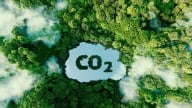 Thị trường carbon toàn cầu: Cuộc đua trăm tỷ USD và cơ hội của Việt Nam
