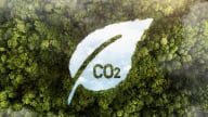 Tín chỉ carbon tại Việt Nam: Đừng để 'mỏ vàng' hóa 'bánh vẽ'