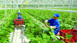 Giải ngân vốn xanh: Doanh nghiệp và ngân hàng đều gặp khó
