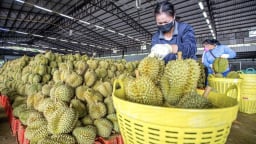 Người Thái mở 'chiến dịch đặc biệt' đấu với đặc sản Việt trên đất Trung Quốc