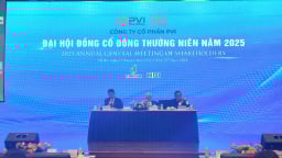 PVI: Tiến sát mốc doanh thu tỷ USD, chốt cổ tức tiền mặt gần 32%