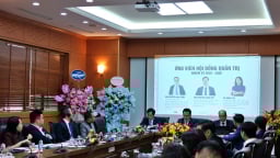 VINARE: Đặt mục tiêu lợi nhuận trước thuế hơn 500 tỷ đồng 