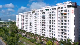 Một ban quản trị chung cư ở TP.HCM bị phạt 120 tỷ đồng tiền thuế