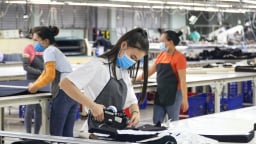 Tín dụng xanh: Dòng tiền ách tắc vì thiếu quy định