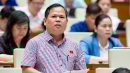 ĐBQH: 'Ngành than, ngành điện rất lỗ nhưng doanh nghiệp Nhà nước vẫn độc quyền'