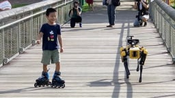 Robot chó: Giải pháp công nghệ giá rẻ bùng nổ tại Singapore