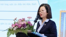 Kế nhiệm ông Đào Nam Hải, hành trình lên Tổng giám đốc PJICO của bà Nguyễn Thị Hương Giang