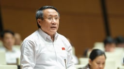 Tạo điều kiện cho doanh nhân phạm tội được tại ngoại để điều hành doanh nghiệp?