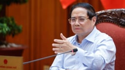 'Cả trăm tấn hàng giả mà không biết là không còn ý chí chiến đấu, hoặc bị mua chuộc'