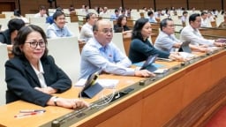 Bầu cử Quốc hội nhiệm kỳ mới diễn ra sớm vào 15/3/2026