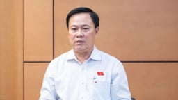 Thêm nhiều ý kiến hối thúc sớm đánh thuế đất bỏ hoang