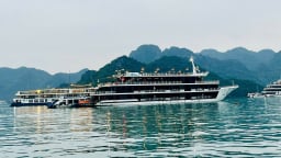 Tàu du lịch bị dừng hoạt động vì khách dùng chai nhựa 1 lần trên Vịnh Hạ Long