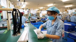 'Xây dựng hệ sinh thái chính sách tài khóa hỗ trợ doanh nghiệp tư nhân'