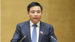   Bộ trưởng Tài chính: 'Dừng Luật Quy hoạch, Đấu thầu sẽ gây hỗn loạn'