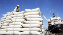 VCCI đề xuất bỏ loạt rào cản với doanh nghiệp xuất khẩu gạo