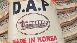 Sầu riêng bị Trung Quốc trả về: Vào cuộc tìm hiểu nghi vấn do phân bón DAP Hàn Quốc
