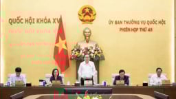 Thường vụ Quốc hội xem xét đề án sáp nhập tỉnh, thông qua sáp nhập xã