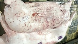 Danh tính cán bộ đóng dấu kiểm dịch sai lên thịt heo bệnh của Công ty C.P.