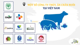 'Đại gia' ngoại chiếm lĩnh ngành chăn nuôi, cuộc chơi tỷ USD tại Việt Nam