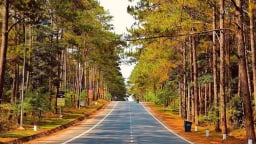 Kon Tum: Duyệt chủ trương đầu tư 3 dự án khu đô thị ở Măng Đen 26.000 tỷ đồng