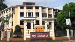 Nhà thầu ‘tố’ Điện lực Sơn La đơn phương chấm dứt hợp đồng