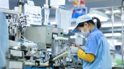 Số doanh nghiệp thành lập mới tăng vọt trong tháng 6