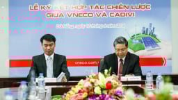 VNECO: Liên tục trượt thầu, bị xử phạt vì báo ‘lãi ảo’