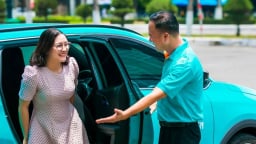 Xanh SM của tỷ phú Phạm Nhật Vượng dẫn đầu thị trường taxi Việt 