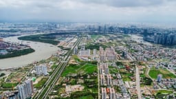Giá đất: Ai nên là người quyết định?