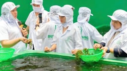 Mỹ áp thuế đối ứng 20%: Doanh nghiệp Việt phải lớn lên từ áp lực