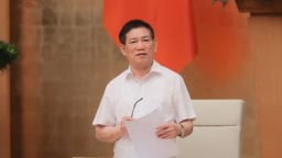 Phó Thủ tướng yêu cầu NHNN nghiên cứu phát hành trái phiếu bằng USD