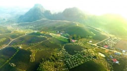 Đánh thức những miền đất: Ra đi là để trở về