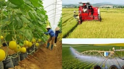 Trực tiếp tạo ra tín chỉ carbon: Việt Nam đừng để nông dân tự xoay 1 mình