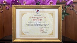 VietnamFinance được nhiều bộ ngành, địa phương khen thưởng nhân dịp 10 năm thành lập