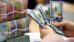 'Áp lực tỷ giá chưa đủ lớn để đảo chiều chính sách tiền tệ'