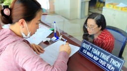 Thuế TNCN tới 35%: 'Thu nhập cao nhưng khó giàu, người giỏi mất động lực làm việc'