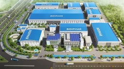 Gia Lai đề xuất tiếp tục thoái vốn tại Khoáng sản Bình Định, bổ sung vốn vào Dược Bình Định
