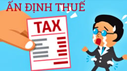 Hộ kinh doanh, doanh nghiệp bị ấn định thuế trong trường hợp nào?