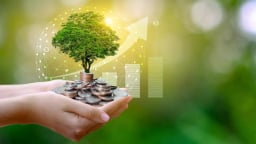 Tài chính xanh: Chìa khóa cho tương lai bền vững