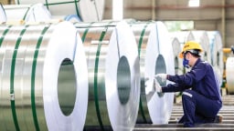 HSG bỏ dự án Cà Ná: Bước lùi sai lầm hay đúng lúc?