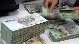 243 bị cáo nộp lại 30.300 tỷ đồng trong các vụ án kinh tế, tham nhũng