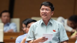 ĐBQH: 'DN sợ nhất là vừa dồn lực đầu tư thì chính sách lại thay đổi'