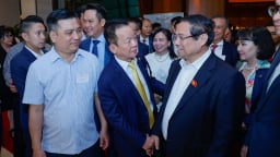 Chính phủ: 'Phân định rõ trách nhiệm pháp nhân và cá nhân trong điều tra, xử lý sai phạm'